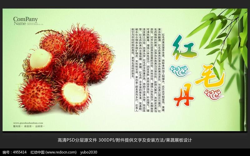 清新唯美水果店红毛丹海报招贴广告设计_红动网